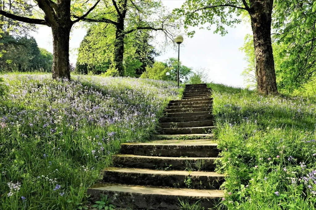 Guide : 7 étapes pour créer un environnement familial sain